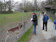 2012.04.08 Ostern Dennis&Brigi17